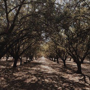 ❀ . meet your posher, jess .